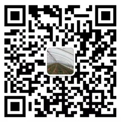 電動(dòng)吊籃_施工升降機(jī)_建筑吊籃_吊籃生產(chǎn)廠(chǎng)家-黃驊市昌達(dá)起重設(shè)備有限公司
